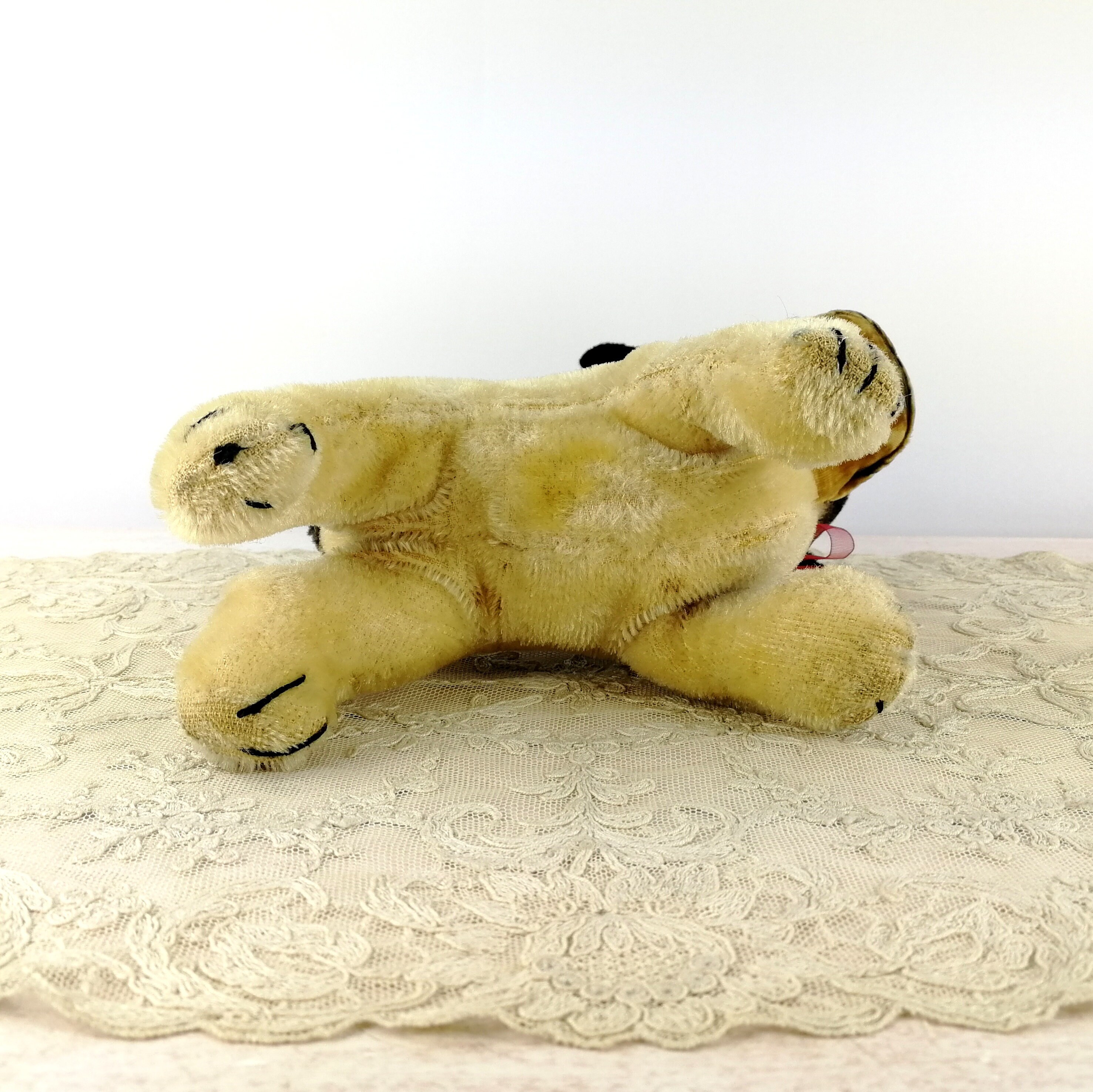 シュタイフ ブルドッグ ブリー ミディ 6インチ ヴィンテージ 1952年