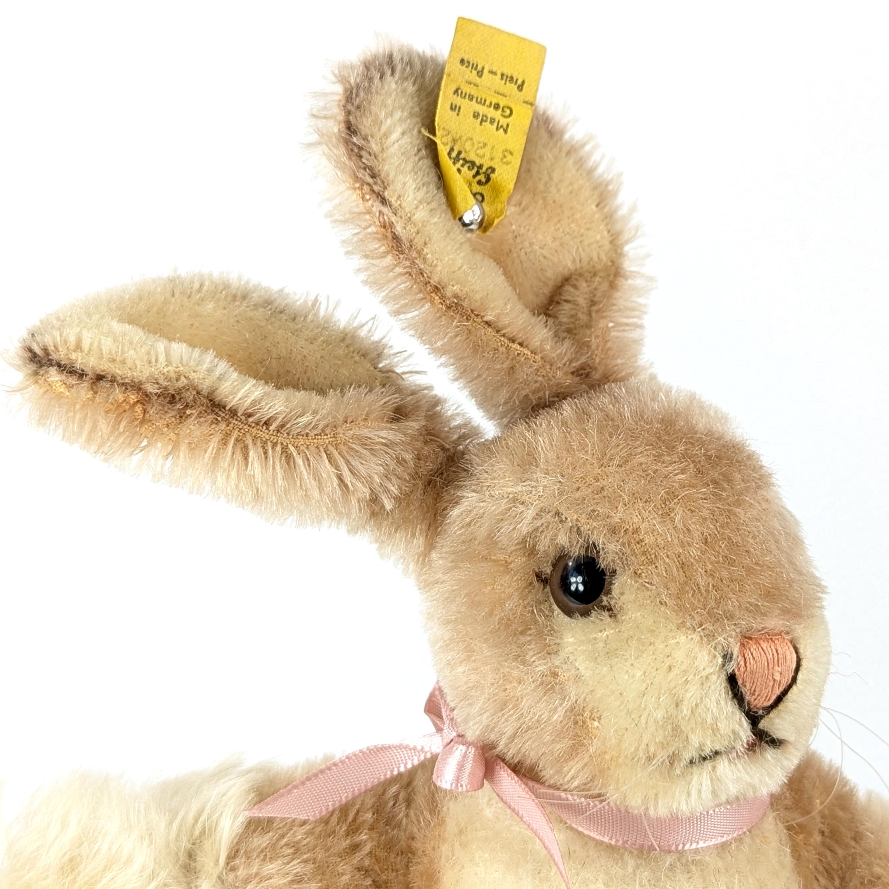 Steiff Bunny Baby Rabbit Sassy 8 Inches With Ids Vintage 1968 to
