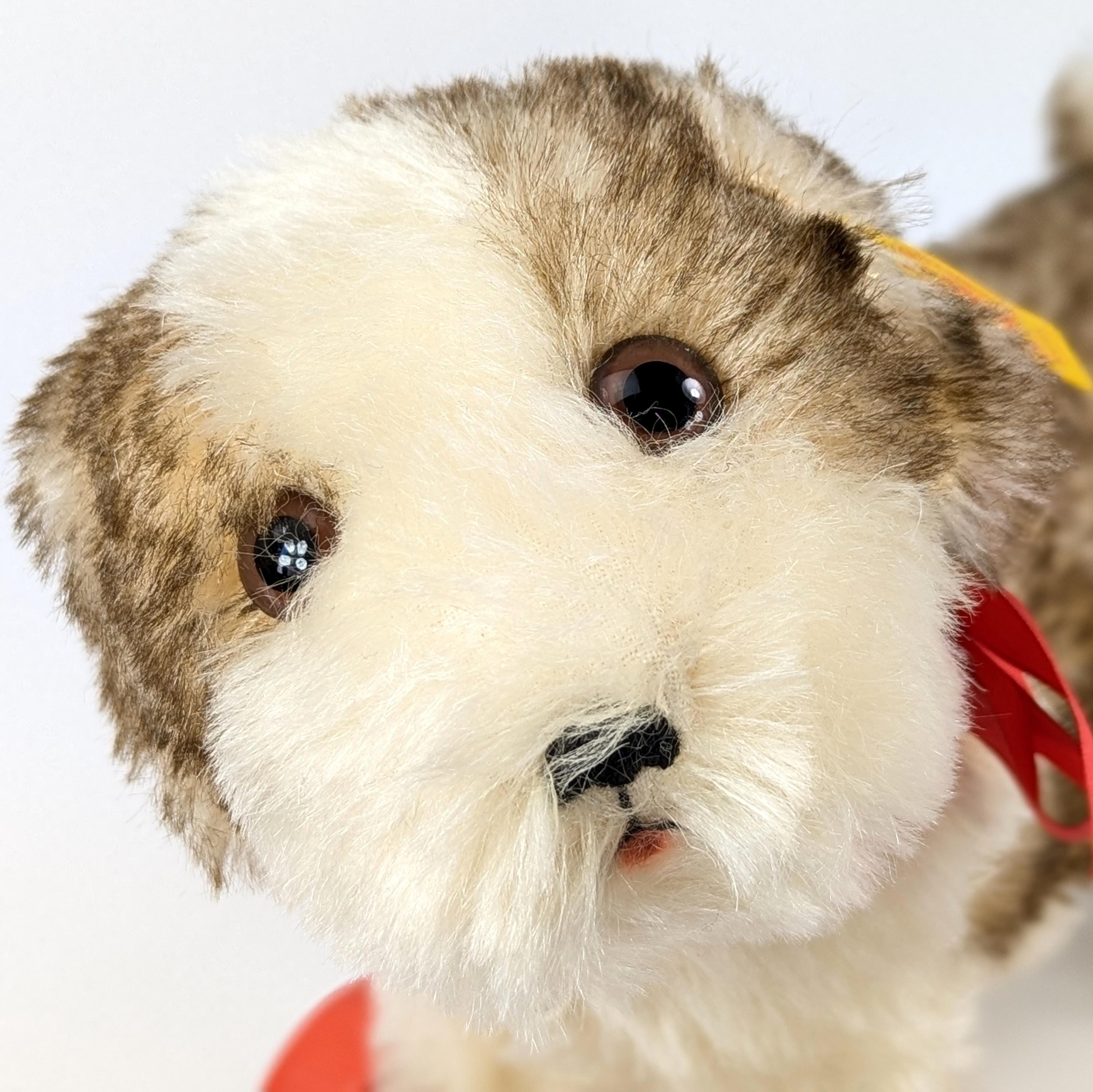 Steiff Dog Classic Molly 1927 on Wheels Mint 10 Inches Vintage