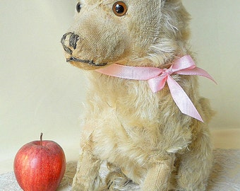 Steiff dog Chow Chow pre-war 1928 – 1931 produced only, large old 14 inch sitting mohair dog, IDs lost, shabby antique stuffed Steiff animal