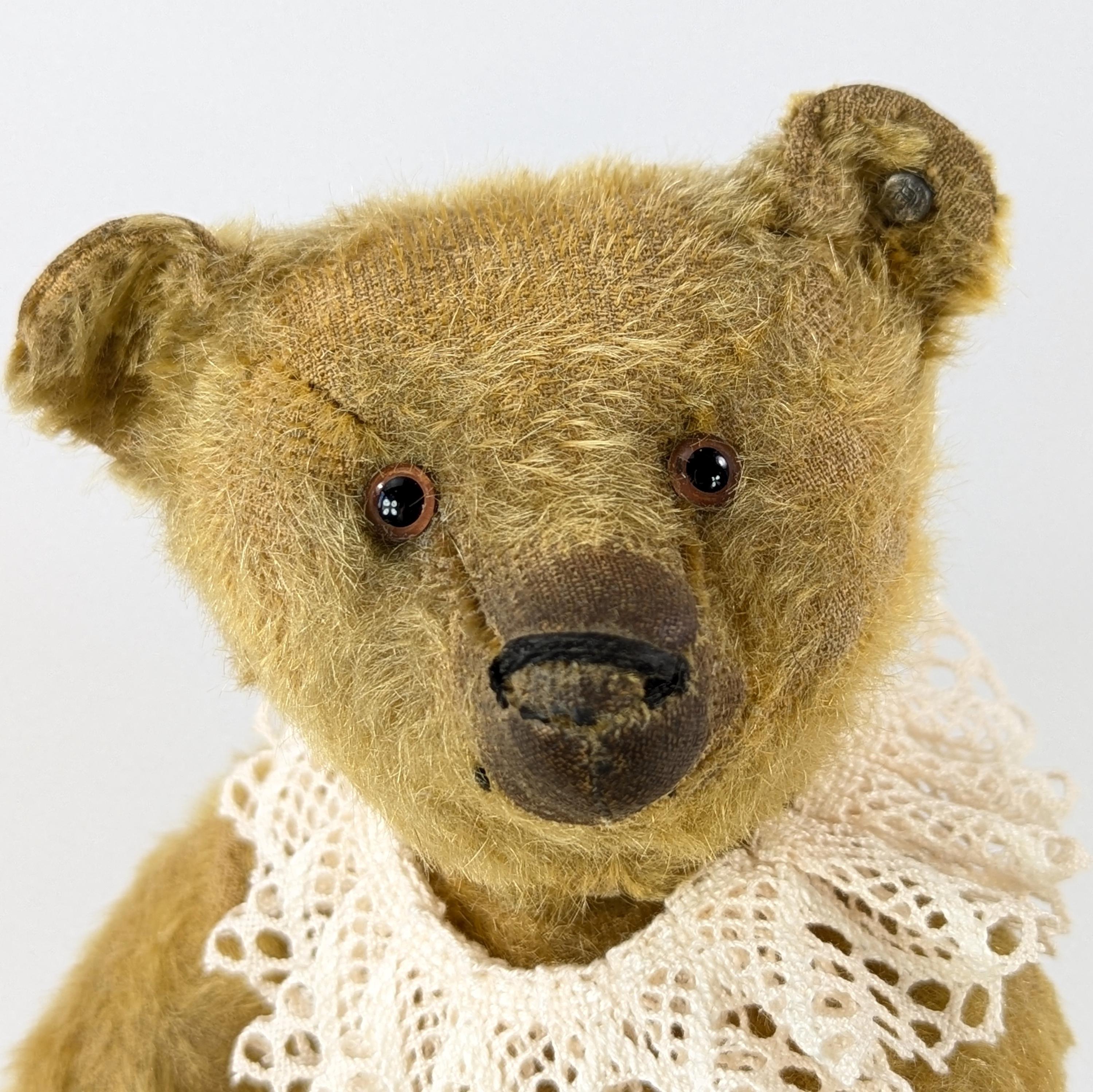 Antique Steiff Teddy Bear With Ear Button 13 Inches Yellow