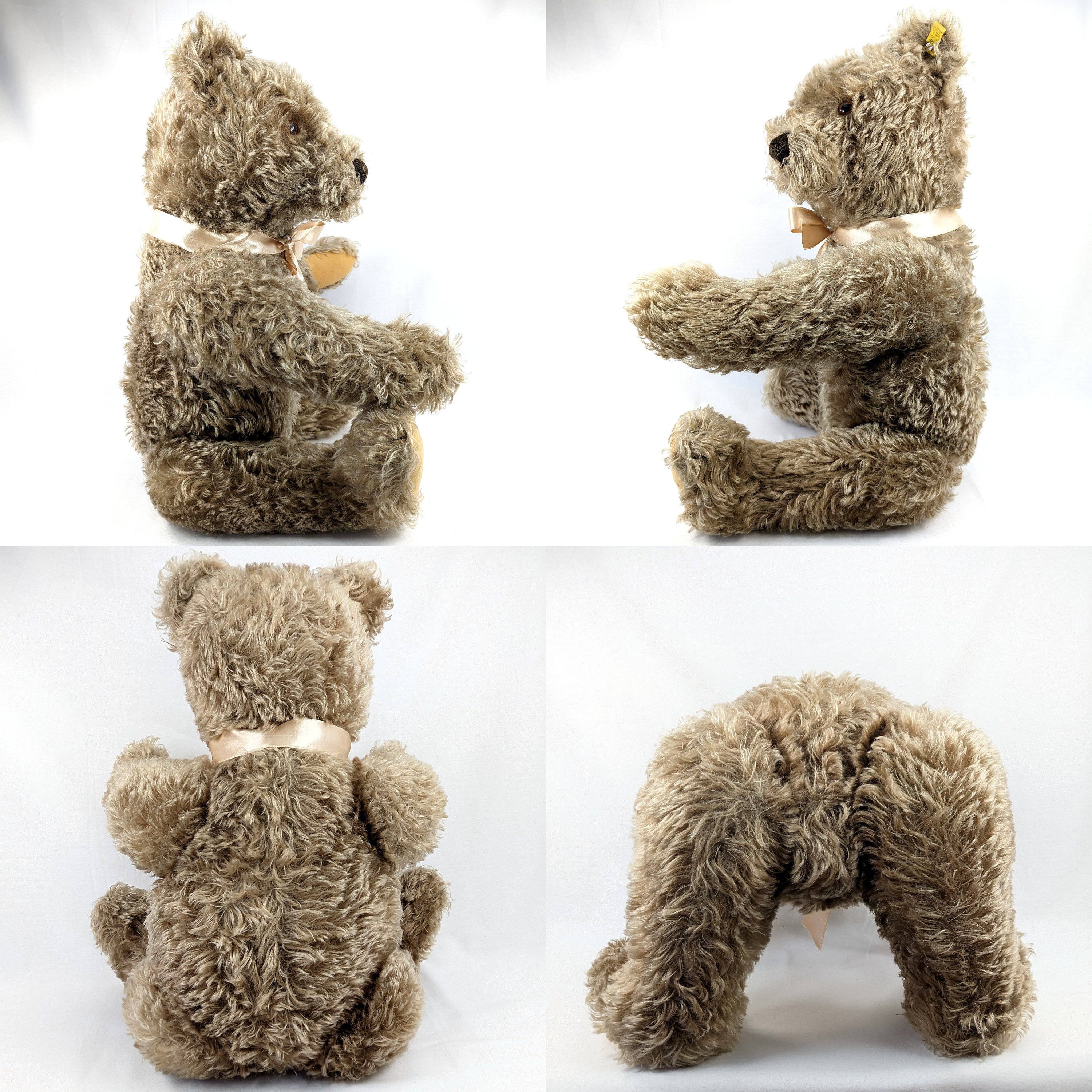 Steiff Teddy Bear With Ids Large 25 Inches Vintage Produced