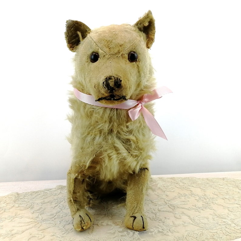Steiff dog Chow Chow prewar 1928 to 1931 only large 14 inches sitting image 3