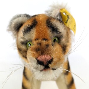 Steiff Tiger Cub con documenti d'identità lunghi 8 pollici, vintage dal 1968 al 1975 immagine 2
