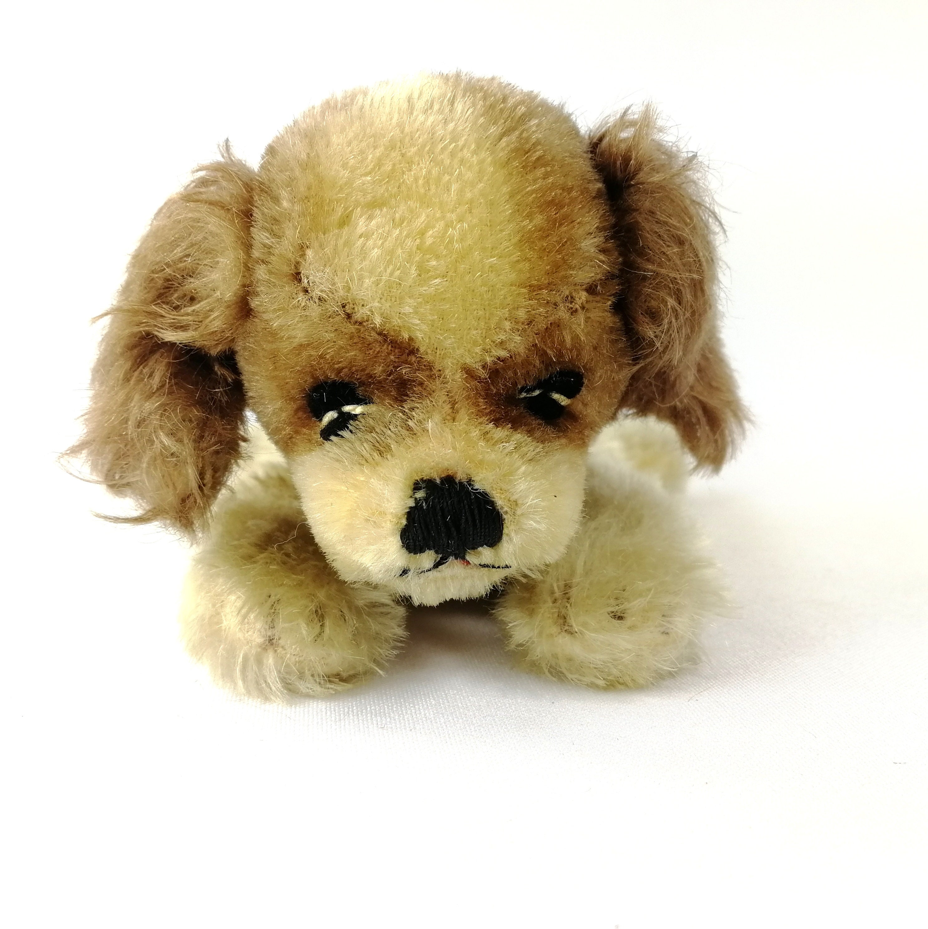 Steiff Floppy Dog Spaniel All Ids Sleeping Small 8 Inches Vintage