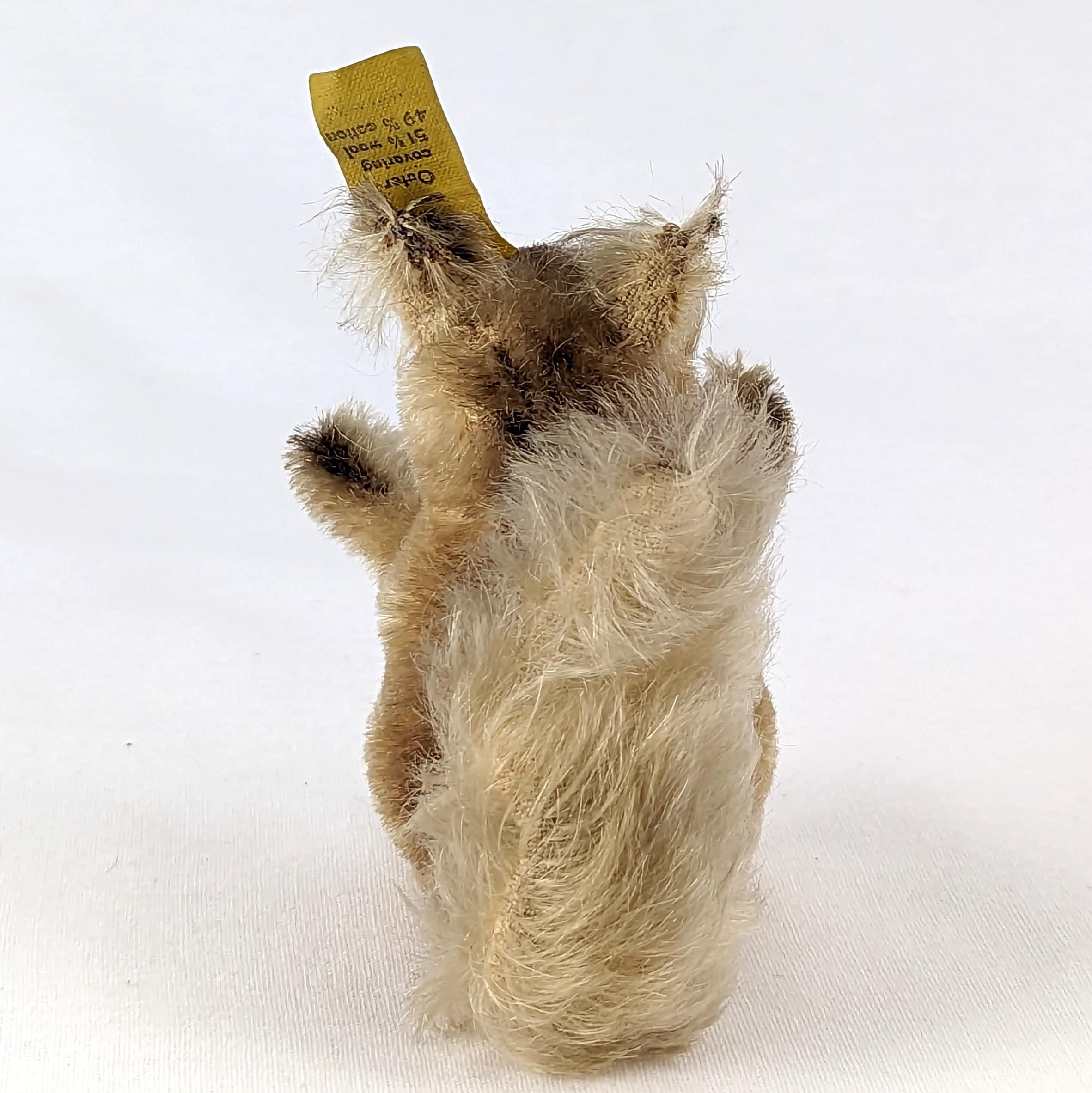 シュタイフ☆Possy Squirrel 10cm☆リスのポッシー☆Steiff