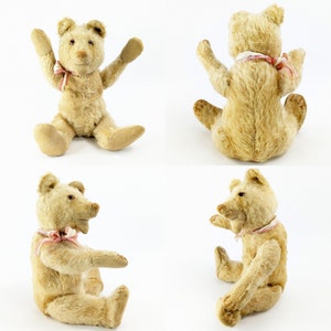 Steiff Teddy Baby Bear with ff button 10 inches 1930 to 1936 image 5