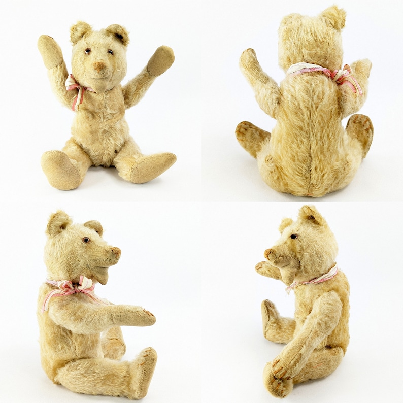 Steiff Teddy Baby Bear with ff button 10 inches 1930 to 1936 image 5