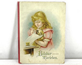 Art Nouveau Childrens Book about Animals Germany around 1900 Richly Illustrated