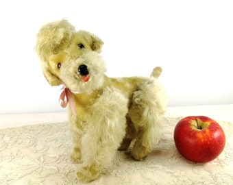 Steiff Poodle Snobby fully jointed 9 inches vintage 1954 to1963