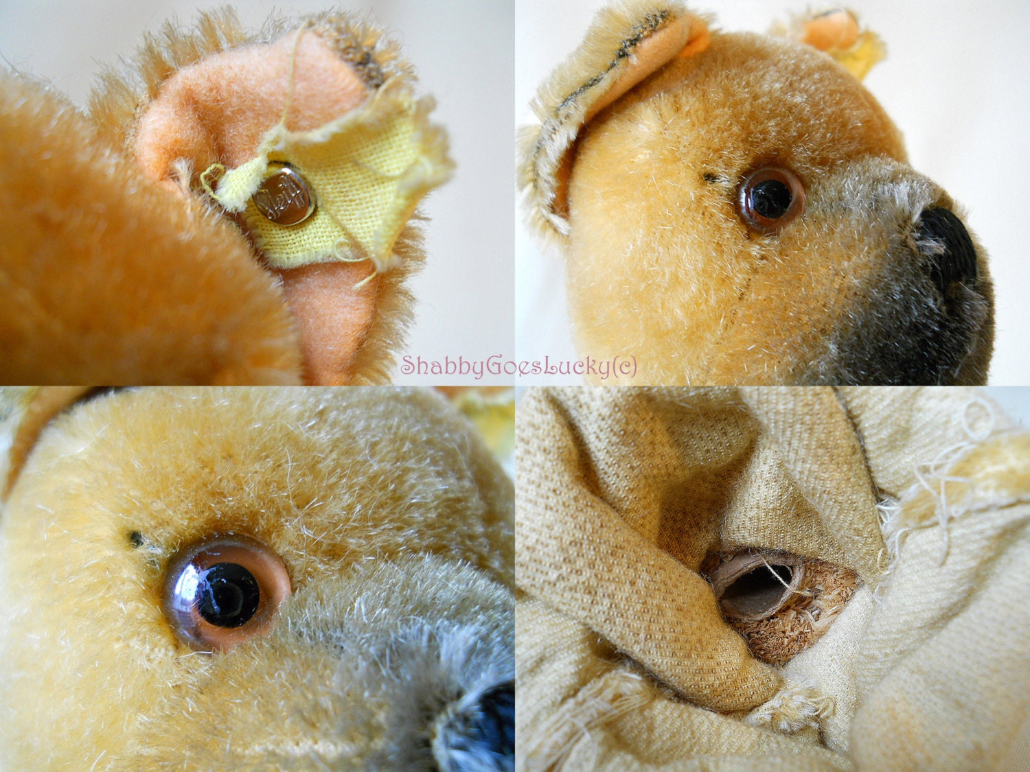 シュタイフ ボクサー犬 シュタイフのハンドパペット、ボクサー犬、ID付き、1951年から