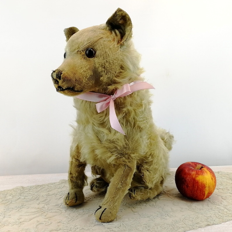 Steiff dog Chow Chow prewar 1928 to 1931 only large 14 inches sitting image 9