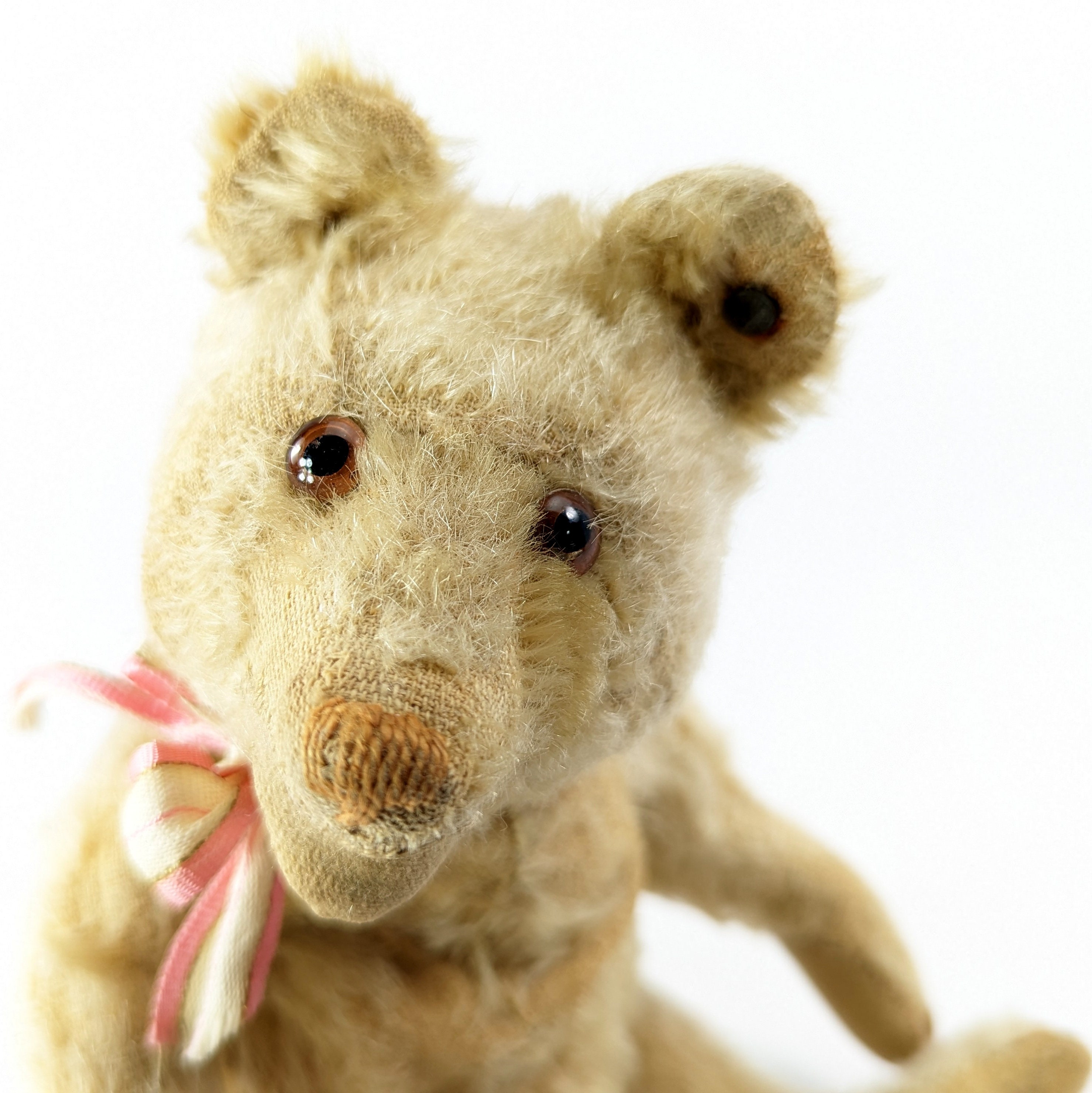 シュタイフ テディベア ffボタン付き 10インチ ヴィンテージ