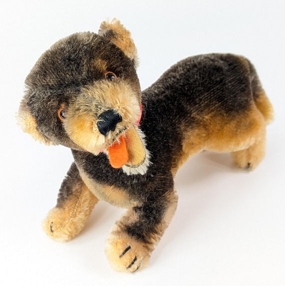 Steiff Dachshund Lumpi With Ids Large 6 Inches Vintage 1965 to