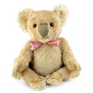Steiff Koala Teddy Bear largest 14 inches vintage produced 1955 to 1961 only