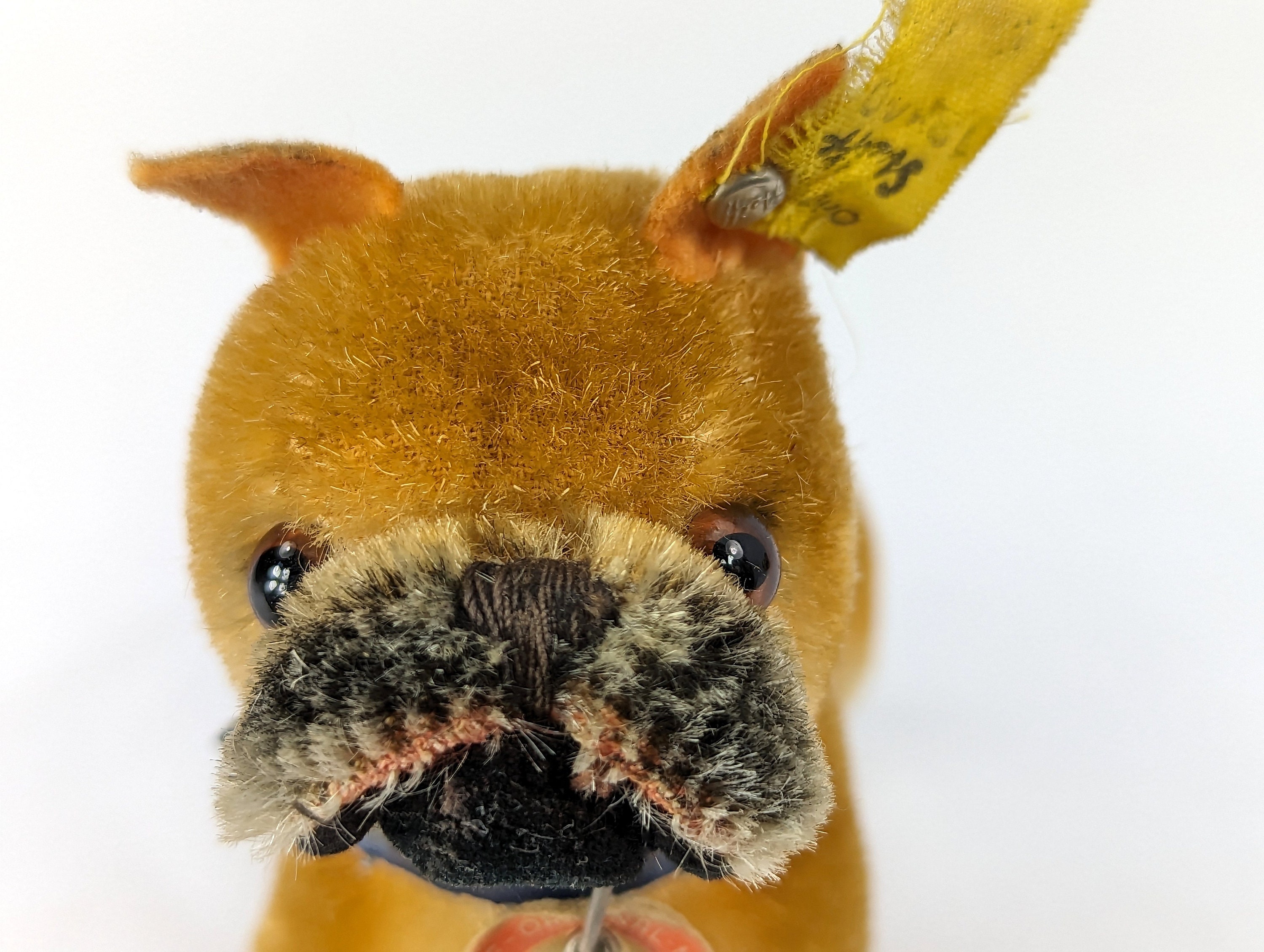 シュタイフ ボクサー犬 il_1080xN.5291720997_fu1p.jpg