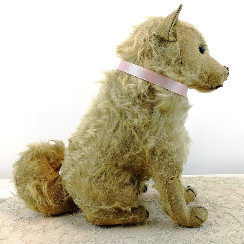 Steiff dog Chow Chow prewar 1928 to 1931 only large 14 inches sitting image 4