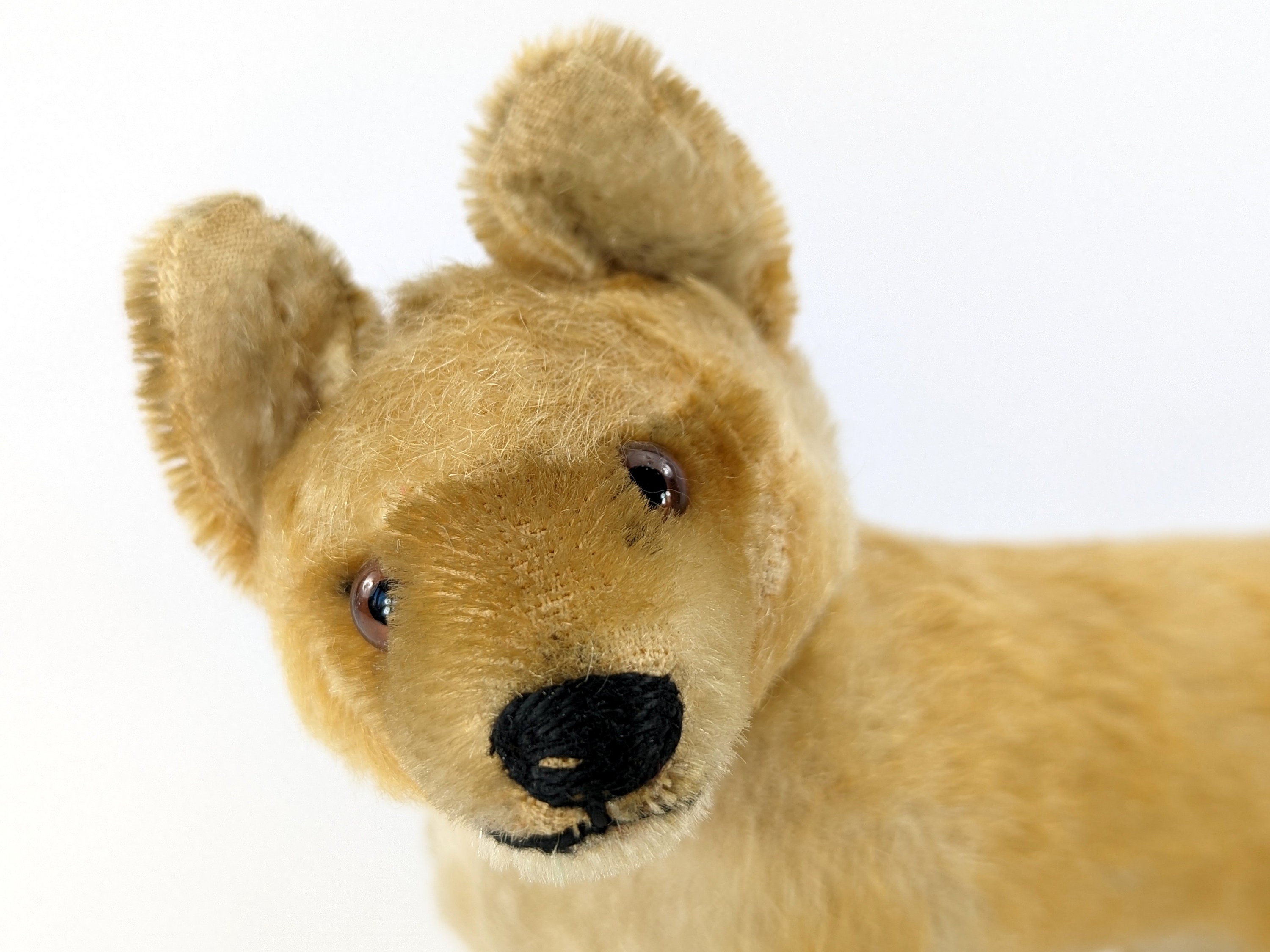 Steiff Fox US Zone Tag ID 5 Inches Tall Vintage 1949 to 1953
