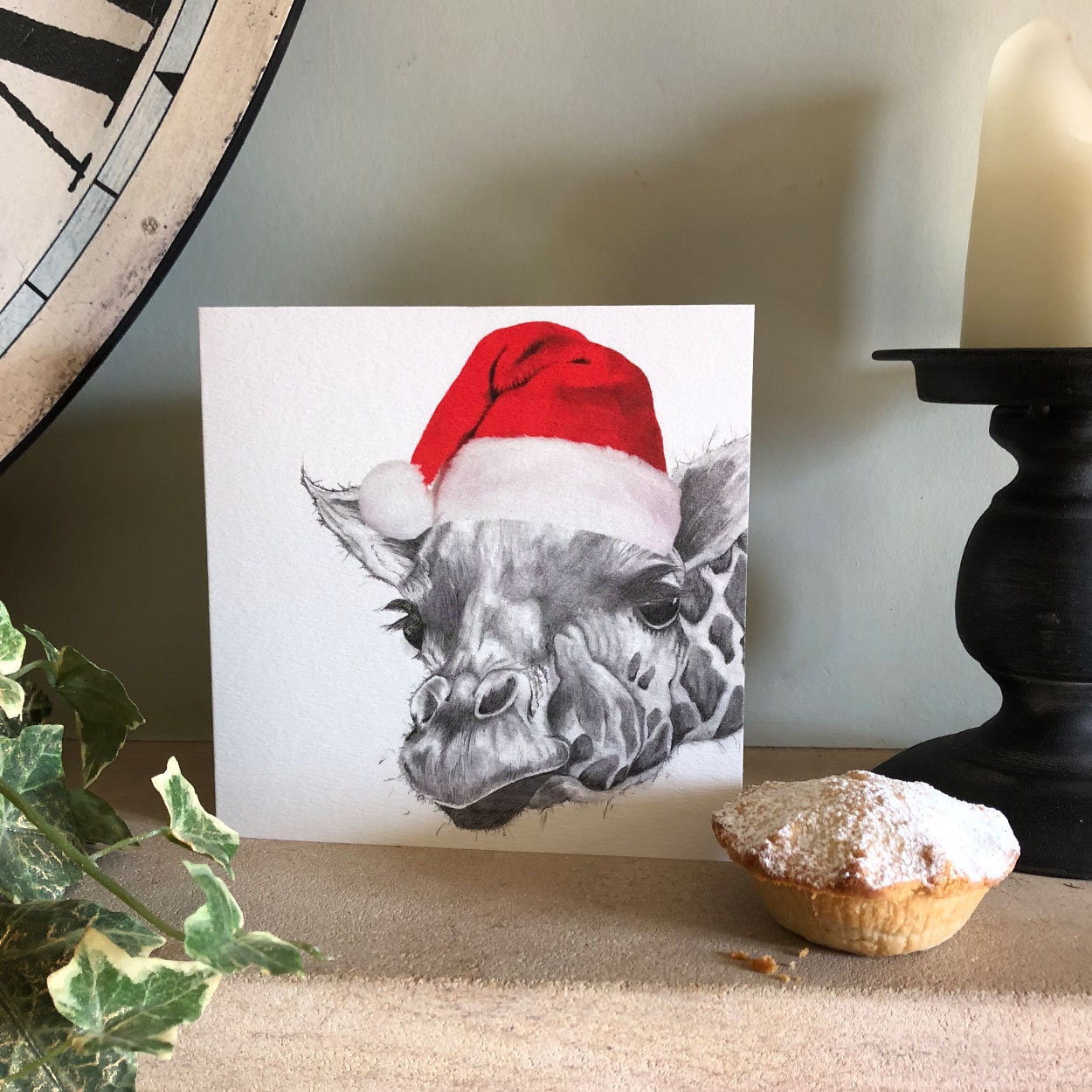 Animal Charity Christmas Cards 
