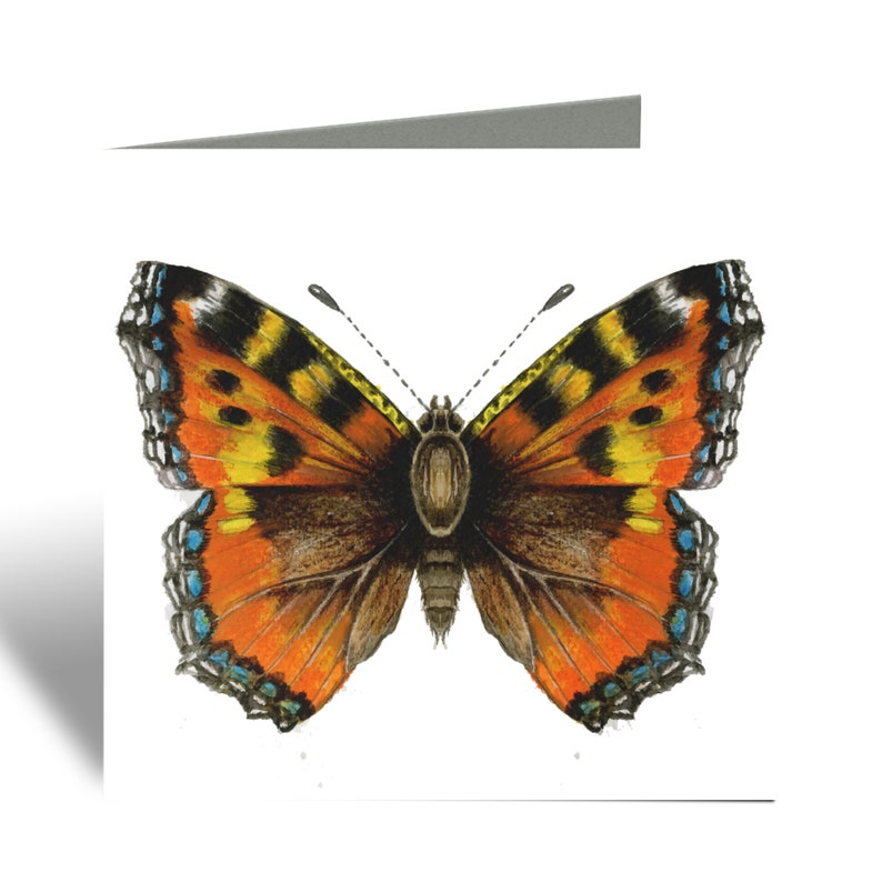Schmetterling-Karte Insekt Karte Natur-Karte Aquarell - Etsy.de