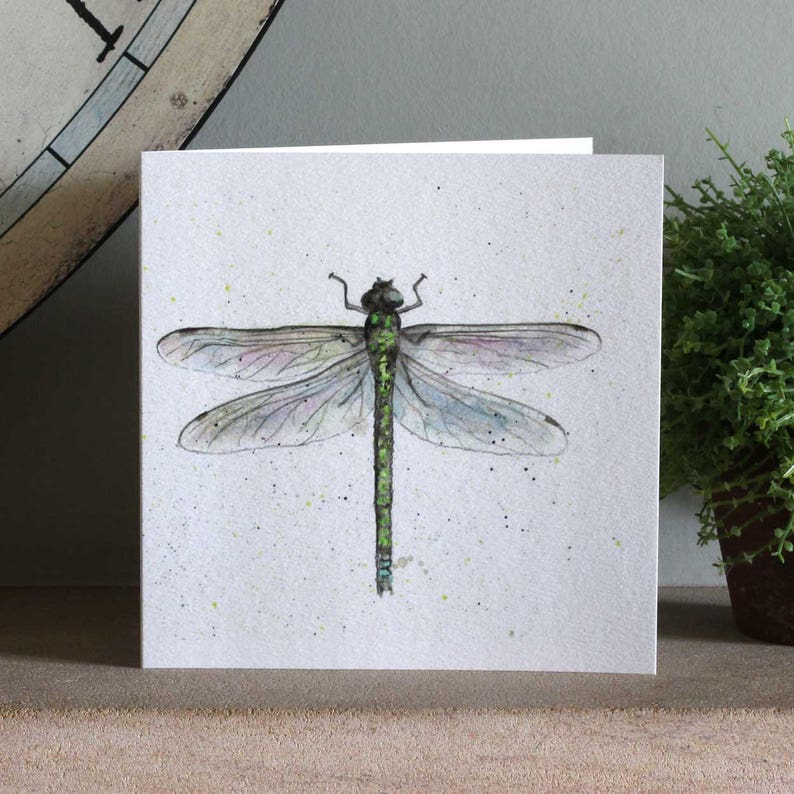 Dragonfly Greeting Card Bug Birthday Card Blank Inside Etsy