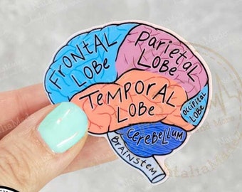 Interchangeable Badge Topper  - Anatomical Brain Diagram Neurology EEG Swappable ID Badge Topper, Reel Accessories