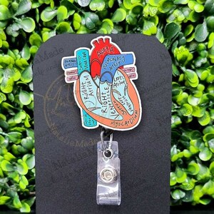 May include: A retractable badge reel featuring a colorful anatomical heart diagram. The diagram includes labels for the heart's chambers and vessels. The reel is attached to a clear plastic clip and is displayed on a black stand.