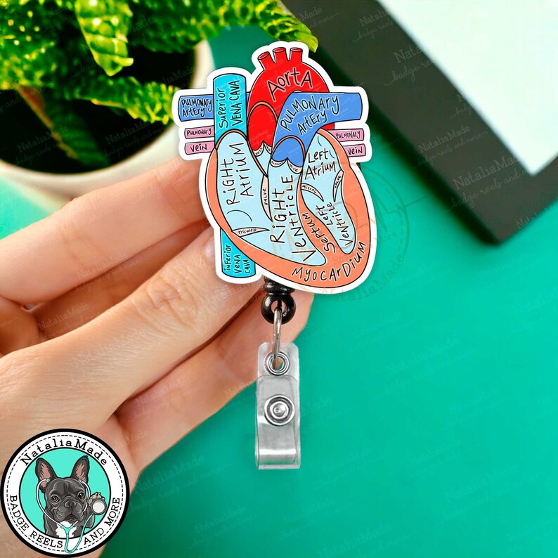 May include: A badge reel featuring a colorful diagram of a human heart, labeled with anatomical terms like "Aorta" and "Right Atrium." The design includes red, blue, and orange hues. The reel has a black retractable cord and a metal clip.