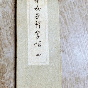 Vintage Japanese Women study book. Vintage Asian book.