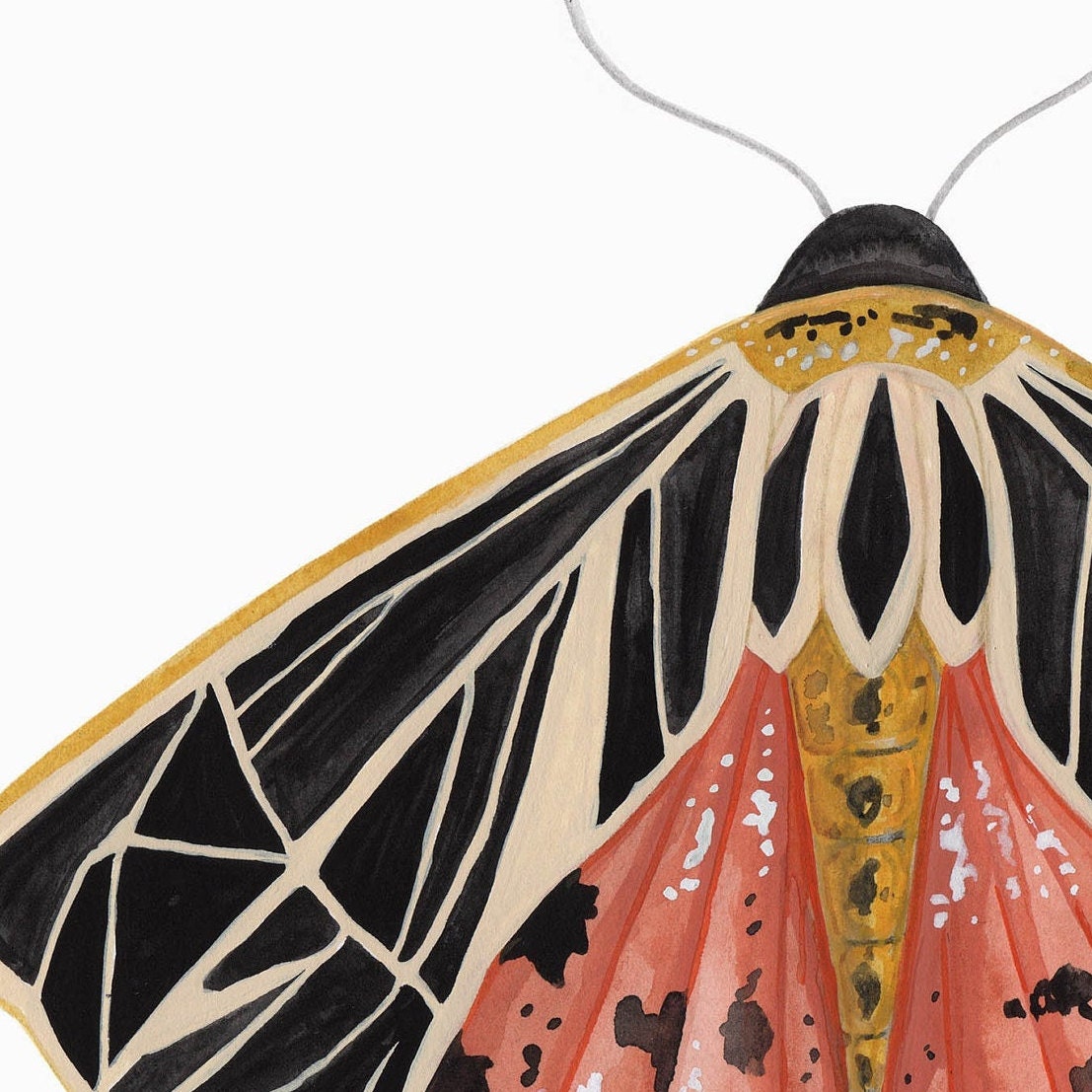 Moth Watercolor Art Print: Bohemian Floral Wall Decor - Etsy