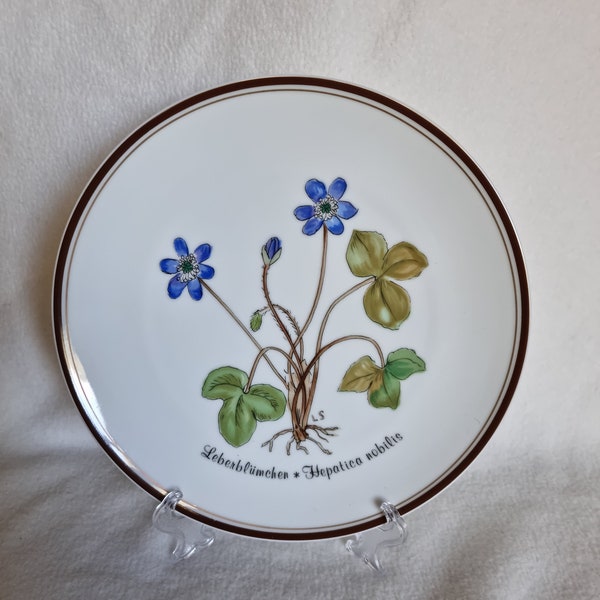 Rosenthal plate Loki Schmidt - liverwort