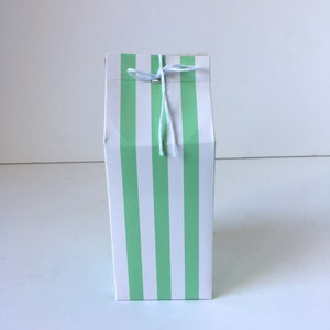 Mint Green & White Stripes Party Favor Party Box, Milk Carton Style Top | Birthday Party | Set of 6 | 3"x3"x5"