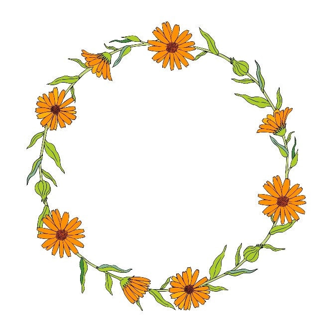 WildMarigold