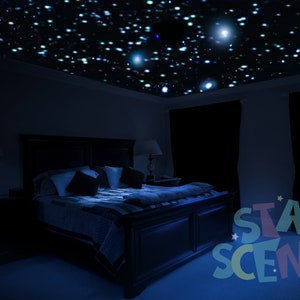 May include: A bedroom with a dark blue ceiling covered in twinkling white stars. A bed with a dark wood frame and a blue and white patterned comforter is in the center of the room. Two lamps are on nightstands on either side of the bed. The text "STAR SCENES" is on the floor in front of the bed.