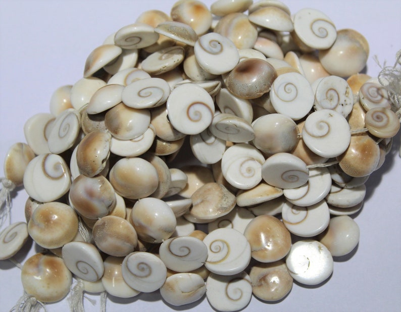 Shiva Eye Shell Beads Raw Organic Fossil Domed Coin shell Beads Size 15 to 16 mm 14 Inch jewelry making