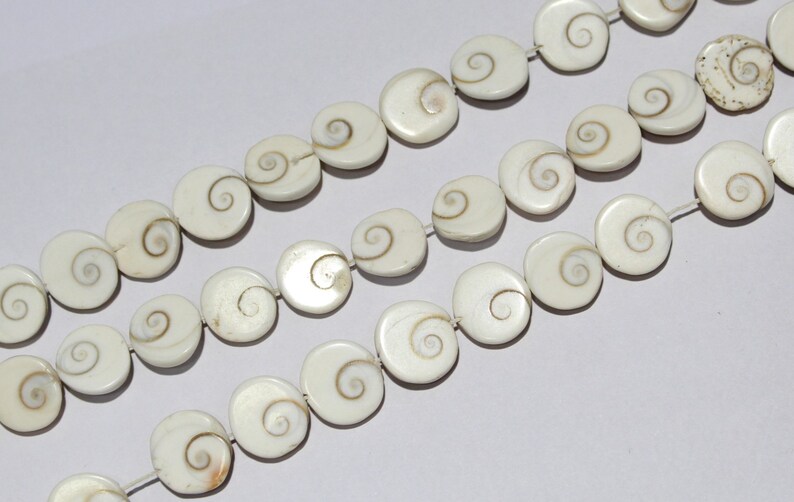 Shiva Eye Shell Beads Raw Organic Fossil Domed Coin shell Beads Size 15 to 16 mm 14 Inch jewelry making