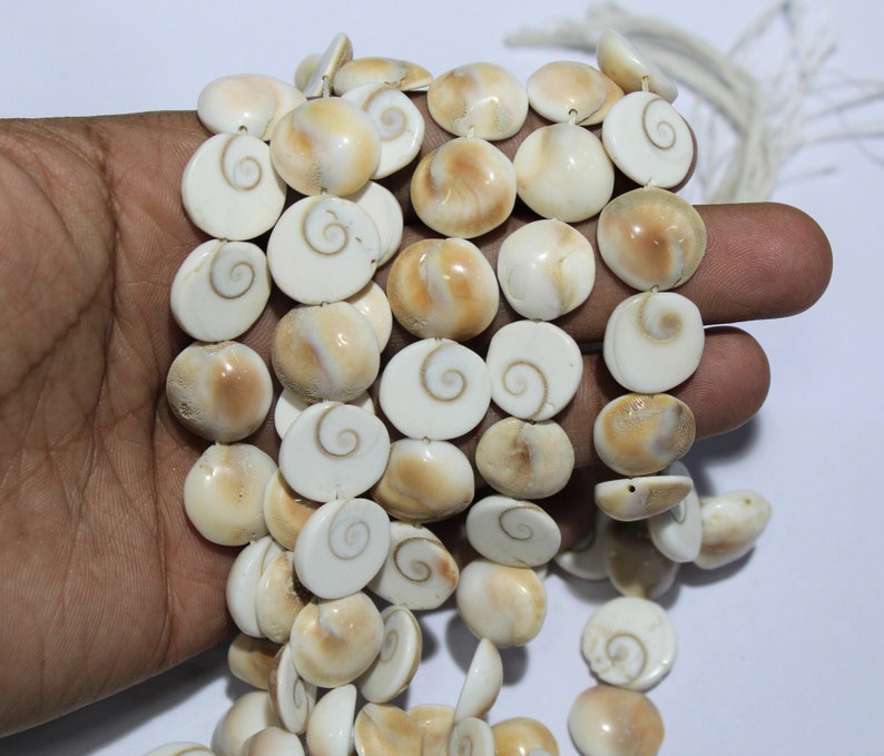 Shiva Eye Shell Beads Raw Organic Fossil Domed Coin shell Beads Size 15 to 16 mm 14 Inch jewelry making