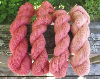 Main Dyed BFL Dentelle - Naturally Dyed Brazilwood Fade Kit