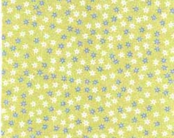 Clothworks Sunwashed Collection floral 30003-2