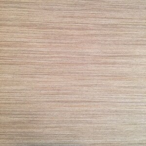 Strie Silk Fabric (Gold/Tan)
