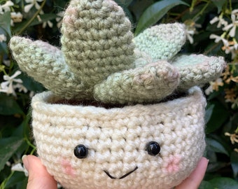 Crocheted Succulent Plant