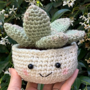 Crocheted Succulent Plant