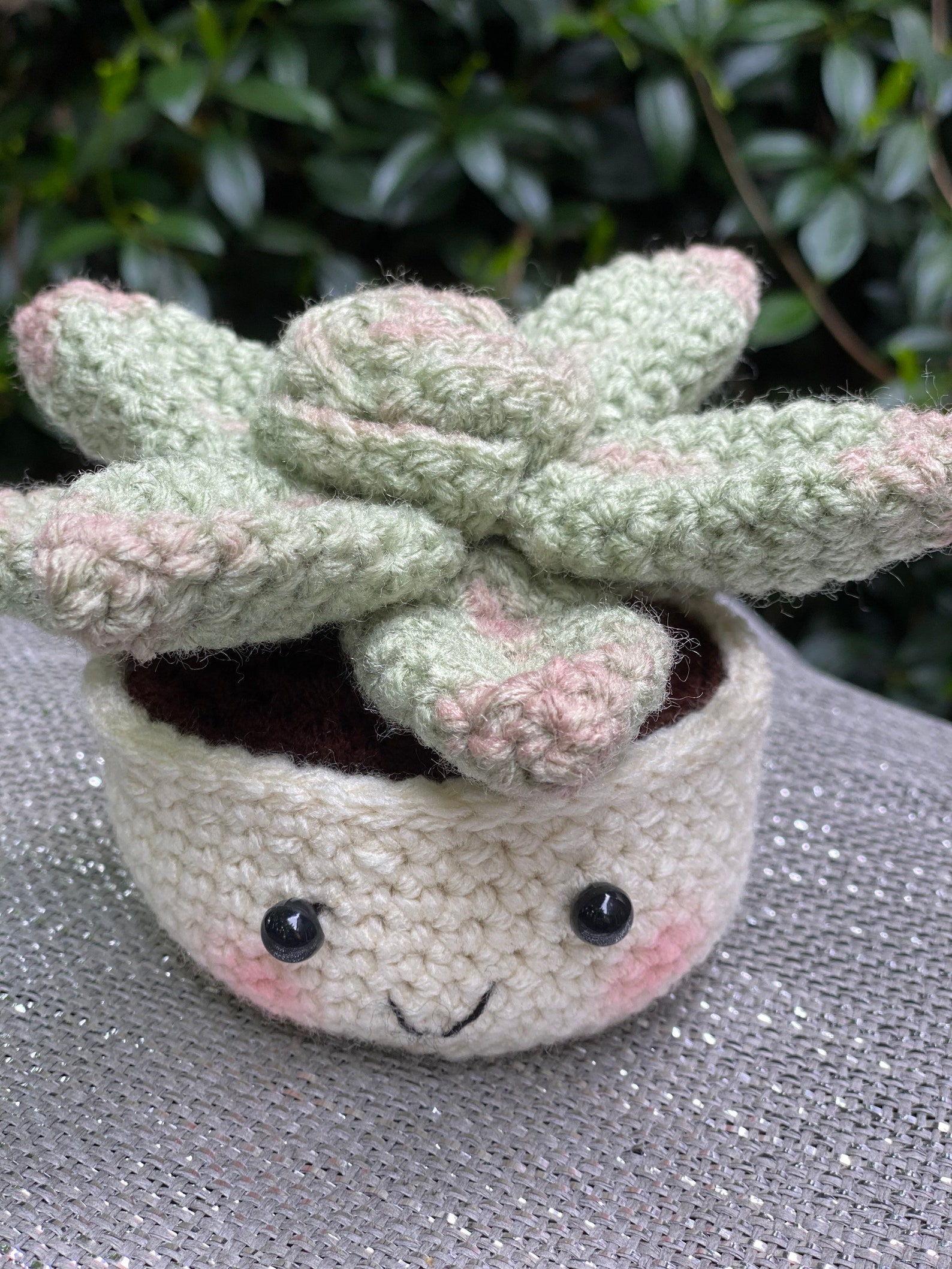 Crocheted Succulent Plant Etsy