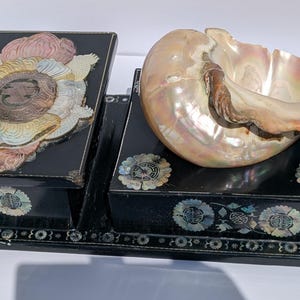 Japanned Lacquered Jewelry Box with Mother of Pearl Inlay and Natural Turbo Shell