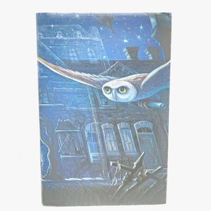 Puede incluir: Ilustración de portada de libro que representa una escena nocturna con un búho volando contra un cielo azul oscuro y estrellado. El búho está en pleno vuelo, con un edificio detallado en el fondo, creando una atmósfera misteriosa.