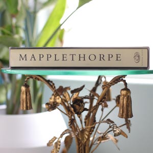 1992 Erste Ausgabe Mapplethorpe Fotobuch: Robert Mapplethorpe, Arthur C. Danto