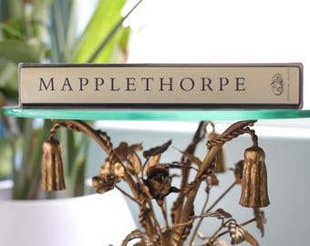 1992 First Edition Mapplethorpe Photobook: Robert Mapplethorpe, Arthur C. Danto