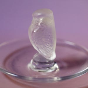 Könnte beinhalten: Eine klare Glasschmuckschale mit einer mattierten Glasvogelfigur darauf. Der Vogel ist nach rechts gerichtet und hat detaillierte Flügel.