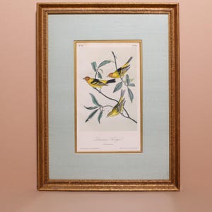 Framed Audubon Louisiana Tanager Print  drawn from nature by J.J. Audubon printed, and colored by J.T. Bowen