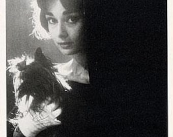 Audrey Hepburn in Paris Postcard